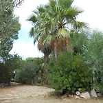 팜스테이 Masseria Serine