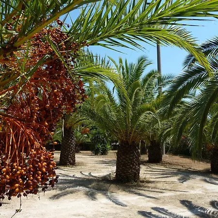 Masseria Serine *