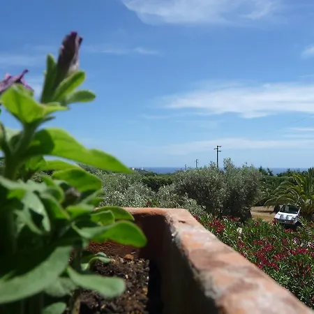 Masseria Serine Vakantieboerderij Santa Maria di Leuca